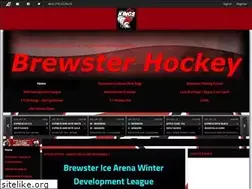 Sites similar to brewsterhockey.com