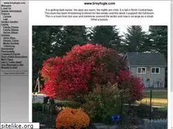 Sites similar to breyfogle.com