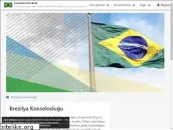 Sites similar to brezilyakonsoloslugu.com