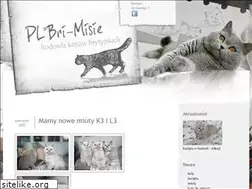 Sites similar to bri-misie.pl
