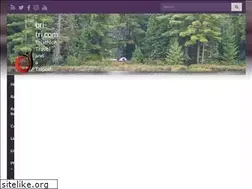 Sites similar to bri-tri.com