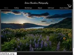 Sites similar to brianchambersphotography.net