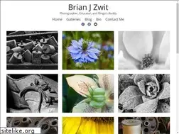 Sites similar to brianjzwit.com