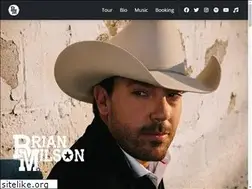Sites similar to brianmilson.com