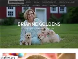 Sites similar to briannegoldens.com