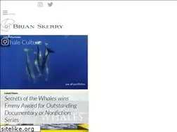 Sites similar to brianskerry.com
