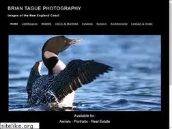 Sites similar to briantague.com