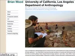 Sites similar to brianwoodresearch.com