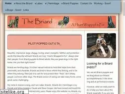 Sites similar to briard.com
