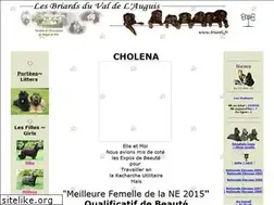 Sites similar to briards.fr