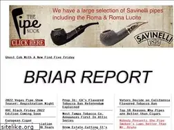 Sites similar to briarreport.com