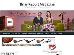 Sites similar to briarreport.org