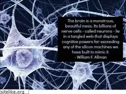 Sites similar to briavarner.wordpress.com