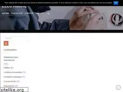 Sites similar to brico-electricite.fr