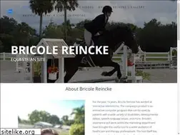 Sites similar to bricolereincke.net