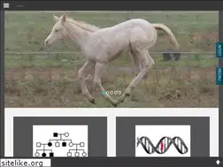 Sites similar to bridgeequine.com