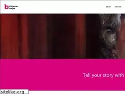 Sites similar to bridgemanimages.de