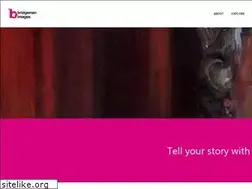 Sites similar to bridgemanimages.fr