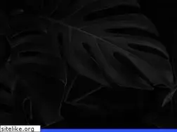 Sites similar to bridgestudio.mx