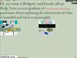 Sites similar to bridgettechen.com