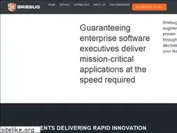 Sites similar to briebug.com