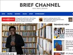 Sites similar to briefchannel.com