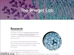 Sites similar to briegel-lab.org