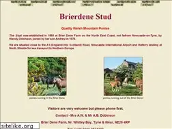 Sites similar to brierdene.com