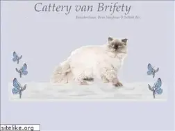 Sites similar to brifety.nl