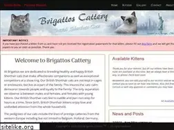 Sites similar to brigattos.com