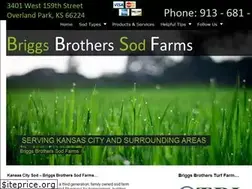 Sites similar to briggsbrotherssod.com