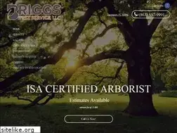 Sites similar to briggstreeexperts.com