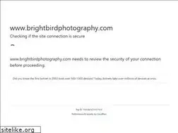 Sites similar to brightbirdphotography.com