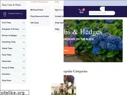 Sites similar to brighterblooms.com