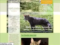Sites similar to brigid.com