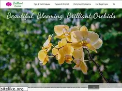 Sites similar to brilliantorchids.com