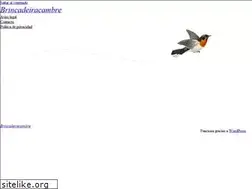 Sites similar to brincadeiracambre.com