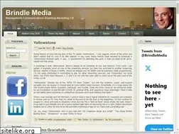 Sites similar to brindlemedia.net