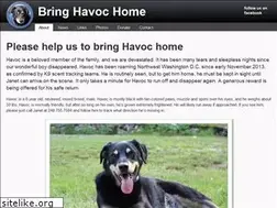 Sites similar to bringhavochome.com