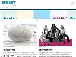 Sites similar to bristguiden.se