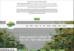 Sites similar to briteleaf.com