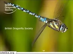Sites similar to british-dragonflies.org.uk