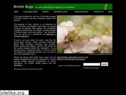 Sites similar to britishbugs.org.uk