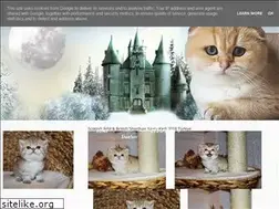 Sites similar to britishfold.blogspot.com