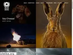 Sites similar to britishphotographyawards.org