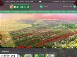 Sites similar to britrosaco.com