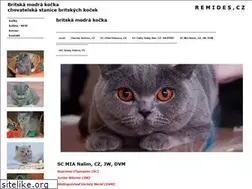 Sites similar to britska-modra-kocka.eu