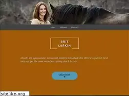 Sites similar to brittanyveinot.com