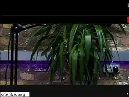 Sites similar to brixtonradio.com