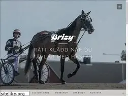 Sites similar to brizy.se